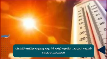 شديدة الحرارة.. القاهرة تواجه 36 درجة ورطوبة مرتفعة تضاعف الإحساس بالحرارة